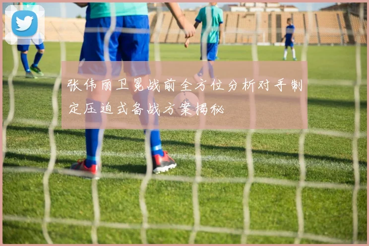 张伟丽卫冕战前全方位分析对手制定压迫式备战方案揭秘