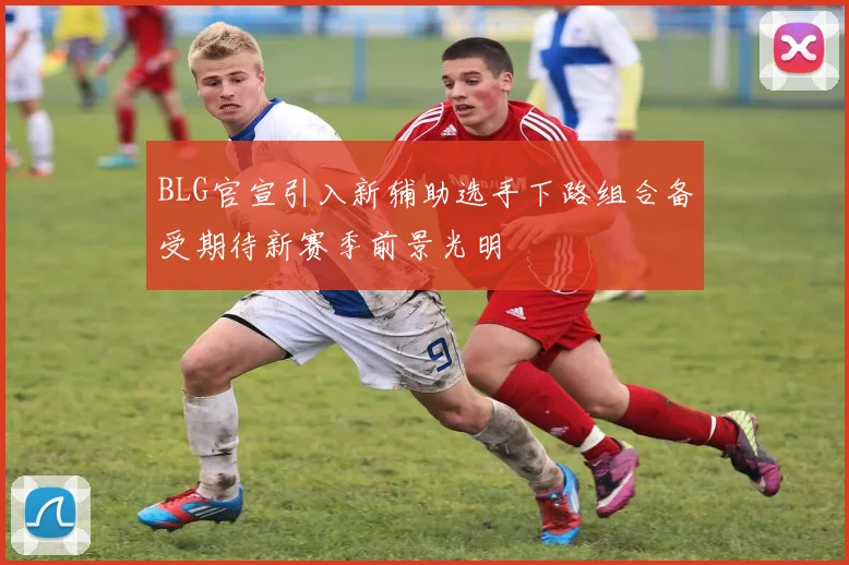 BLG官宣引入新辅助选手下路组合备受期待新赛季前景光明