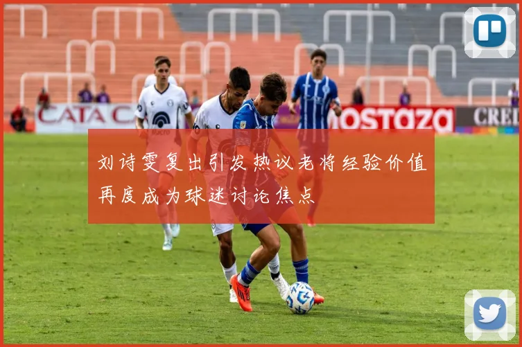 刘诗雯复出引发热议老将经验价值再度成为球迷讨论焦点