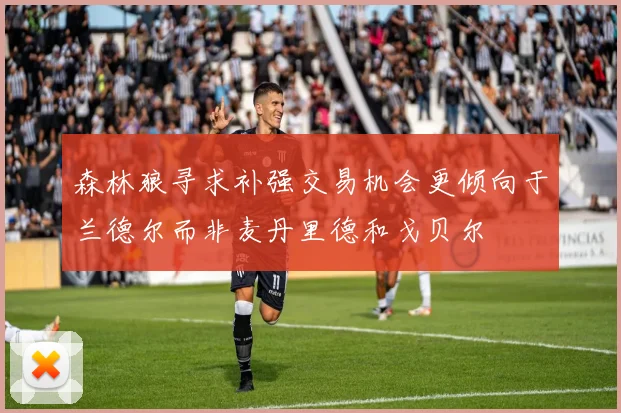 森林狼寻求补强交易机会更倾向于兰德尔而非麦丹里德和戈贝尔